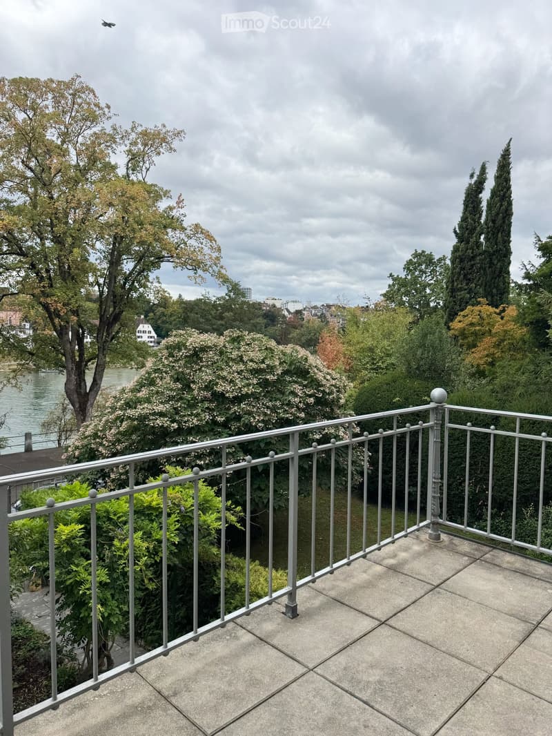 Balcony with metal railing, overlooking a park and river, surrounded by trees and greenery.