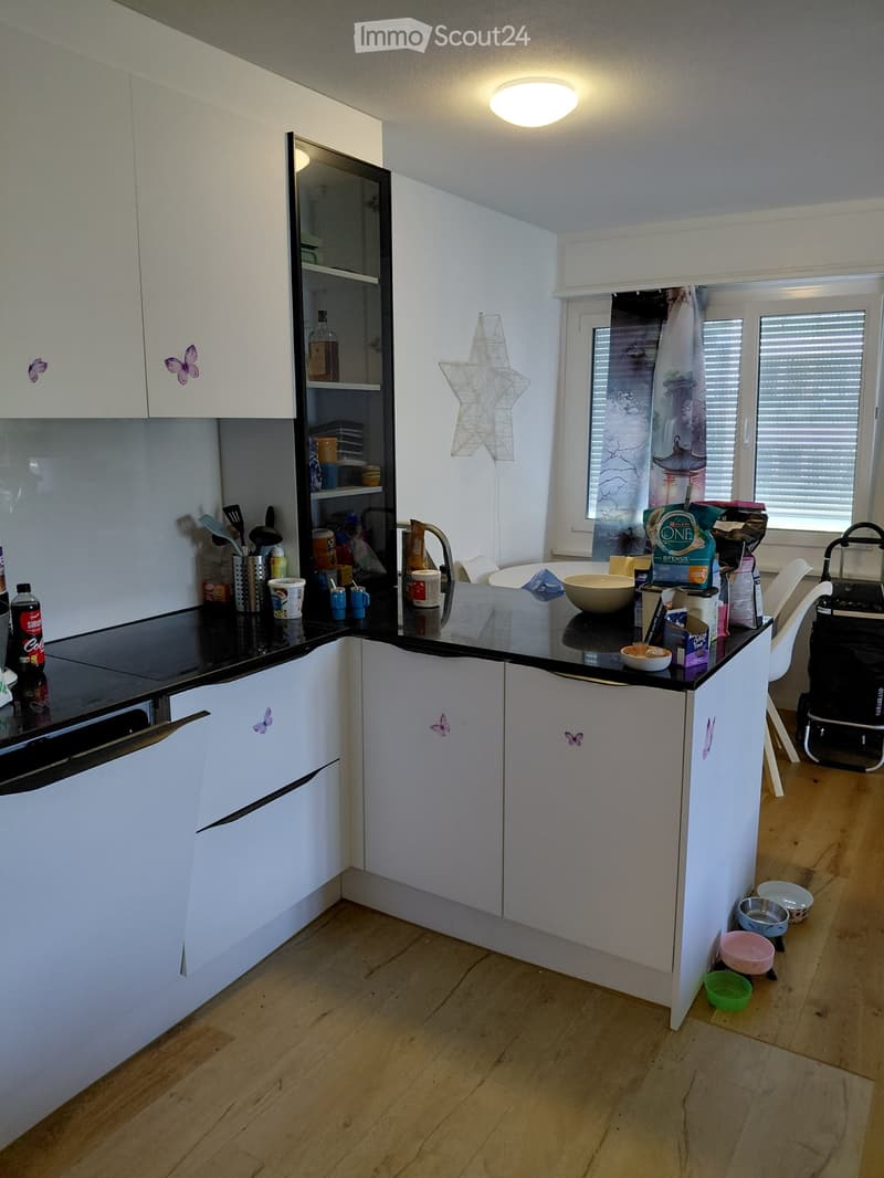 Modern kitchen with white cabinets, black countertop, and various kitchen items including cups, bowls, and a bottle. There are also pet bowls on the floor near the cabinets.