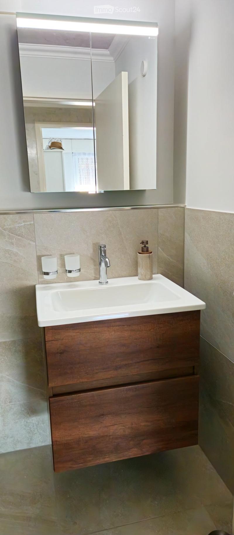 Modern bathroom with a white sink, wooden cabinet, mirror, and soap dispenser.