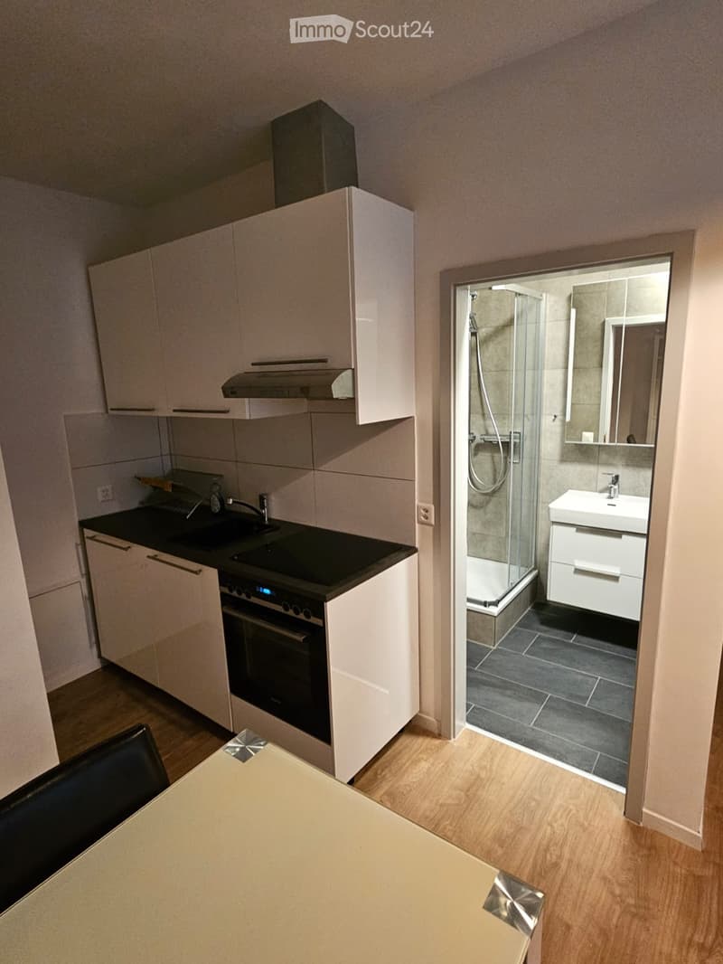 Modern kitchen with white cabinets, black countertop, built-in oven, and a small bathroom with a glass shower enclosure, sink, and mirror.