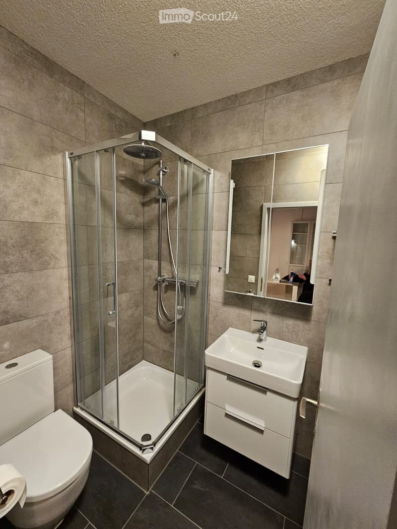 Modern bathroom with a glass-enclosed shower, toilet, sink with cabinet, and a large mirror above the sink.
