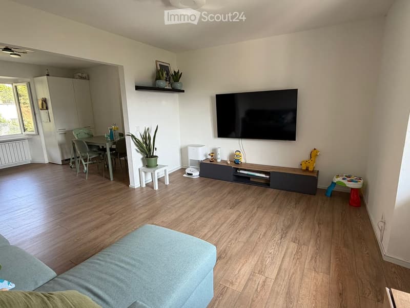 Living room with wooden flooring, a sofa, a television, a dining table with chairs, a shelf with plants, and a small stool.