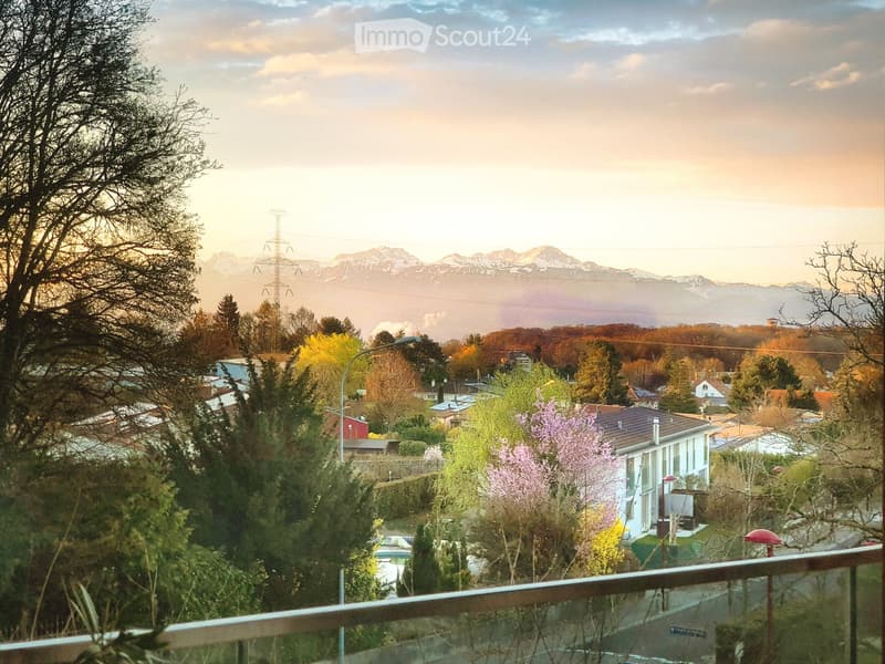Balcony overlooking a residential area with houses, trees, and distant mountains under a clear sky.