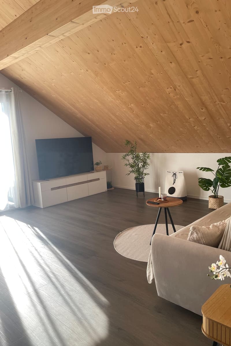 Modern living room with wooden slanted ceiling, grey sofa, coffee table, TV, side table, and potted plants.