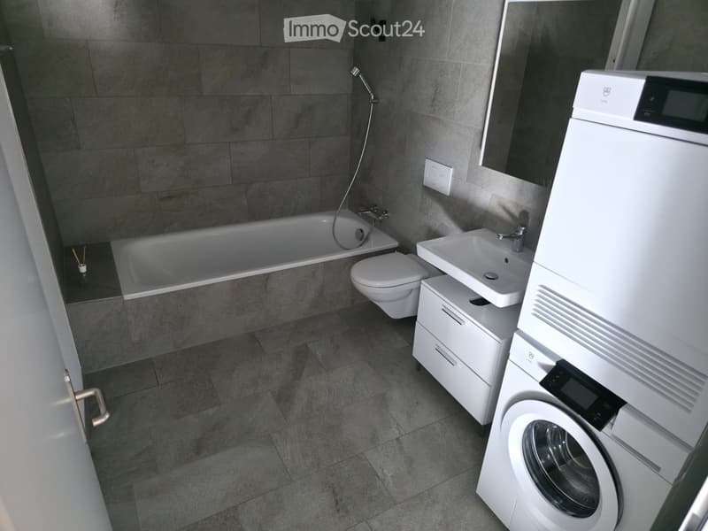 Modern bathroom with a bathtub, toilet, sink, and a washing machine. Features grey tiled walls and floor, a shower hose, and a white cabinet.