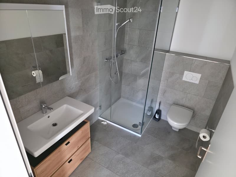 Modern bathroom with a white sink, mirror, toilet, and glass-enclosed shower. Includes wooden cabinetry under the sink and cleaning tools inside the shower.