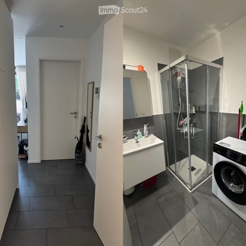 Modern bathroom with a white sink, mirror, glass-enclosed shower, and a private washing machine. The floor is tiled in dark grey, and the walls are white with a dark grey accent in the shower area.