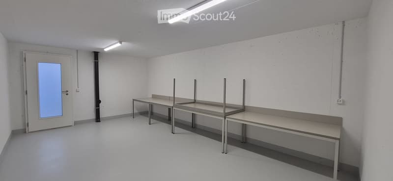 Empty room with white walls, grey floor, and a door with a frosted glass panel. Minimalist design with no furniture.