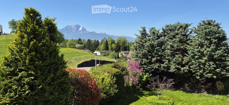 A well-maintained garden with various trees, shrubs, and a clear view of mountains in the background.