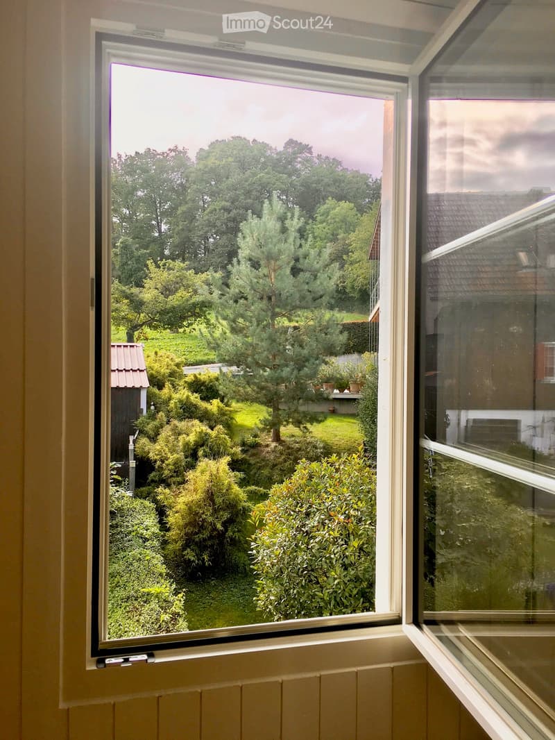 View from a window showing a well-maintained garden with various trees, shrubs, and a small shed.