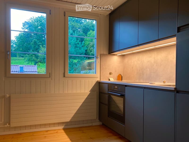Modern kitchen with grey cabinets, stainless steel oven, and wooden flooring. Large windows offer a view of greenery outside.
