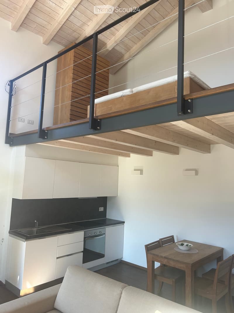 Modern open-plan living space with a raised loft bed, kitchen area, dining table, and seating area.