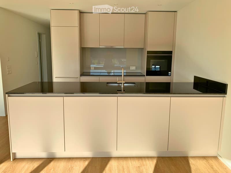Modern kitchen with light-colored cabinets, a black countertop, and a stainless steel sink and faucet.