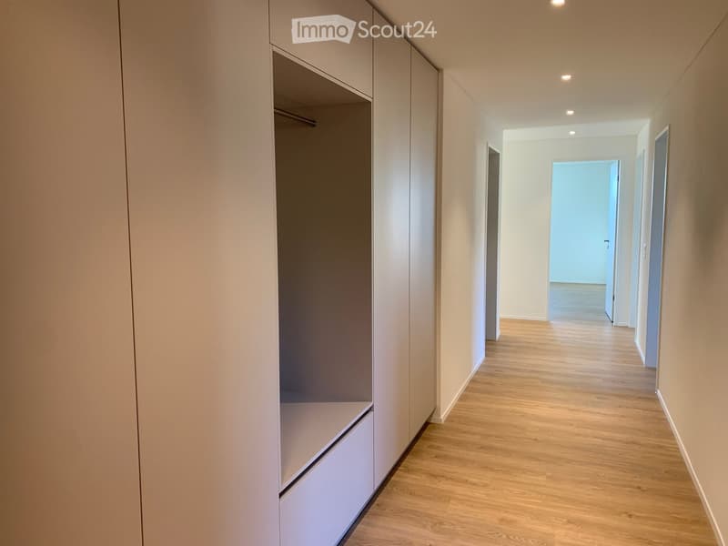 Modern hallway with light wooden flooring, white walls, built-in closet with sliding doors, and recessed ceiling lighting.