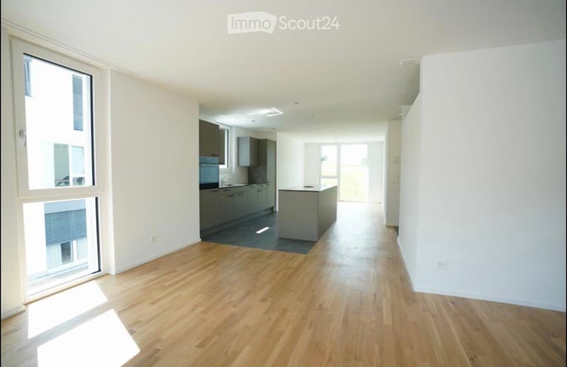Bright, unfurnished room with wooden flooring, white walls, and large windows. The space includes a kitchen area with cabinets and a central island.