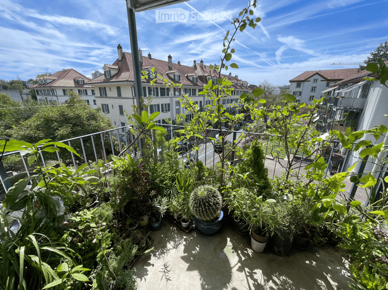 Balcony with various potted plants, including succulents and leafy greens, overlooking a residential area with multi-story houses and a clear blue sky.