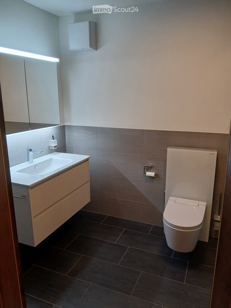Modern bathroom with a white sink, silver faucet, beige cabinet, and a white toilet with a built-in seat. Grey tiles on lower walls and dark tiles on the floor.