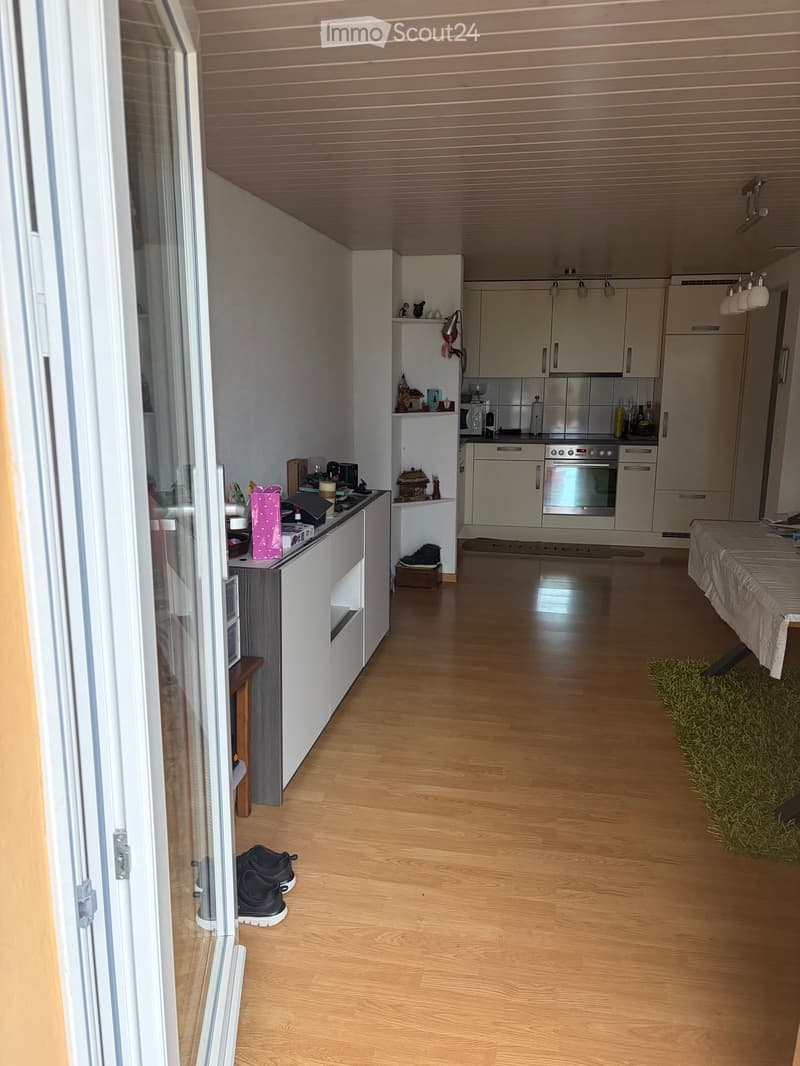 A modern, open-plan living and kitchen area with light wooden flooring, white cabinets, and stainless steel appliances. The space includes a bed with a beige cover, a small table with a pink bag, and a green artificial grass rug.