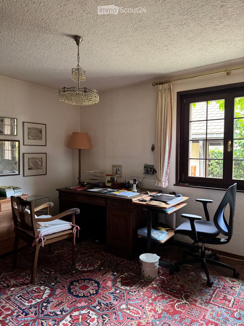 A well-furnished study or office space with a wooden desk, ergonomic chair, chandelier, floor lamp, and framed artwork on the walls. The room features a patterned carpet and large windows with curtains.