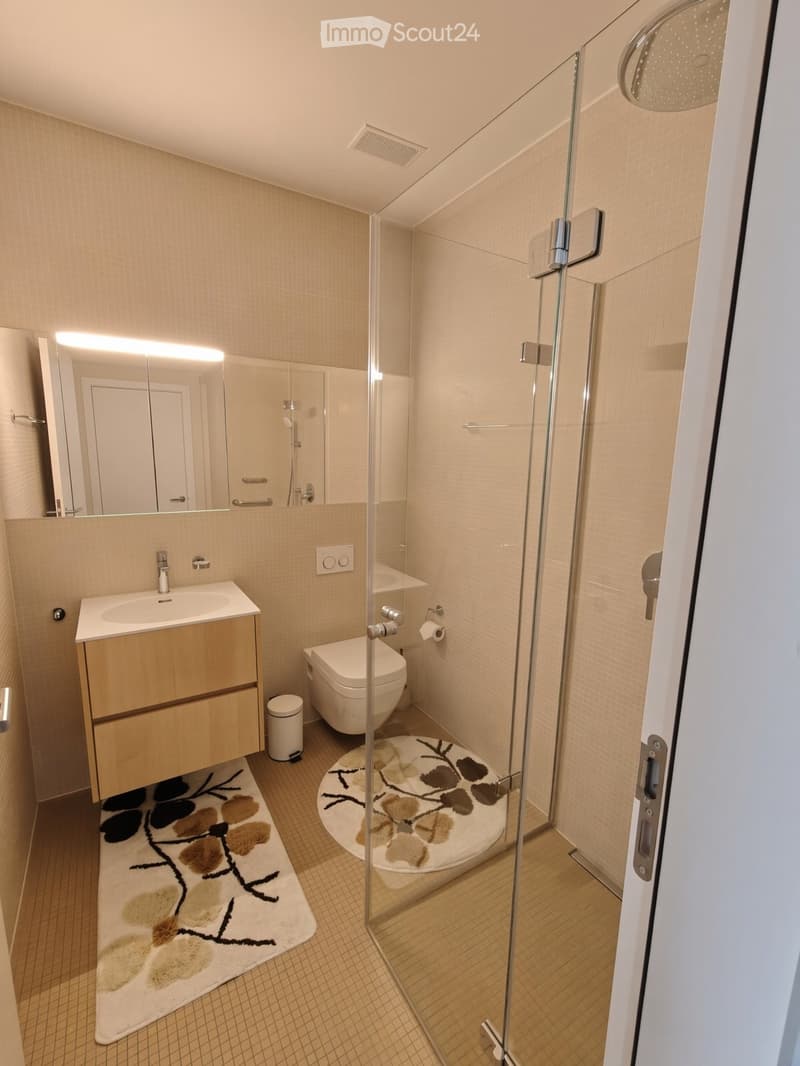 Modern bathroom with a glass-enclosed shower, a toilet, a sink with a wooden cabinet, and a large mirror above the sink. The floor is tiled, and there are two decorative rugs in the bathroom area.