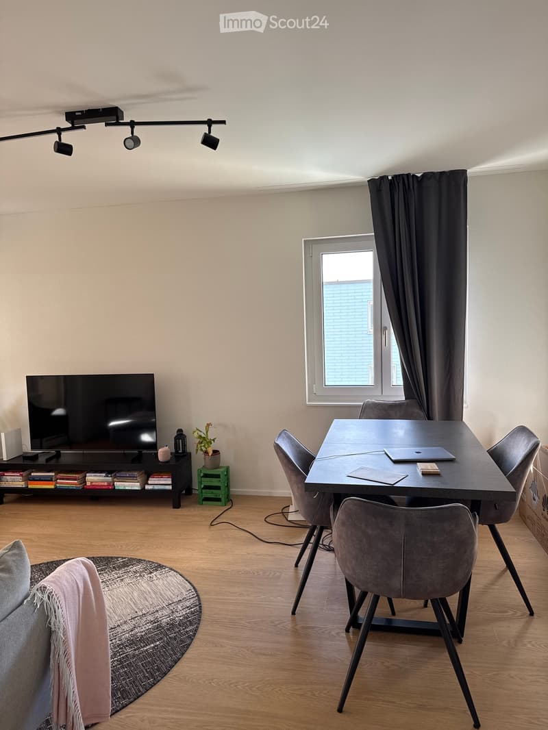 Modern living and dining area with a sofa, coffee table, dining table with chairs, laptop, TV, bookshelf, and a small plant. The room features wooden flooring, large windows with curtains, and track lighting.