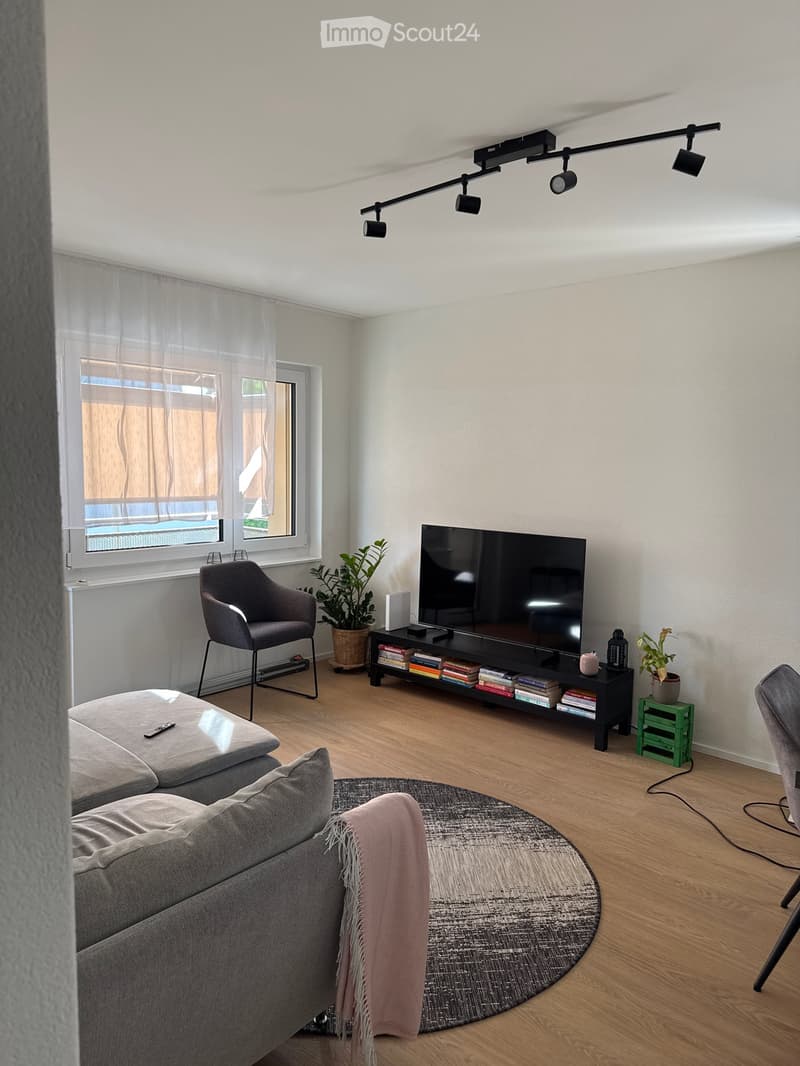 Modern living room with a grey sofa, armchair, TV on a stand, books, plants, and a round rug on a wooden floor.
