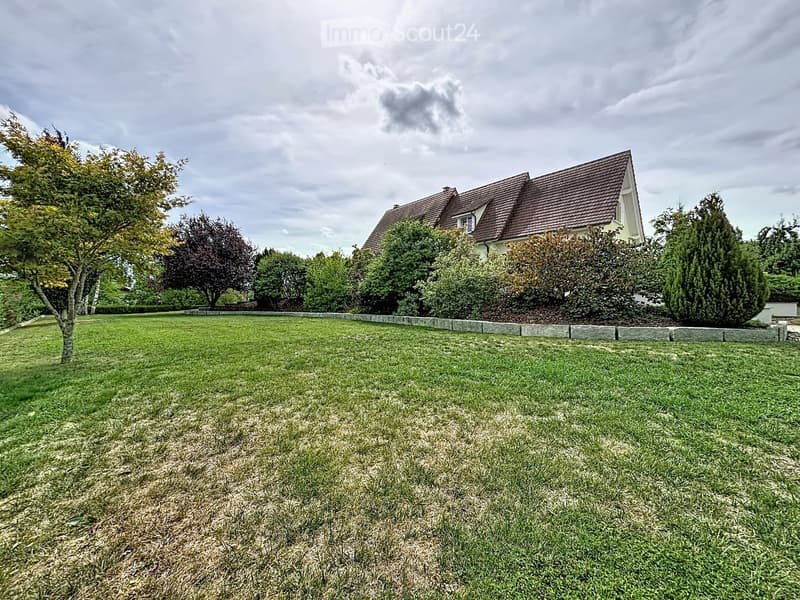 Lush green lawn with trimmed grass, surrounded by trees and bushes, with a house visible in the background.