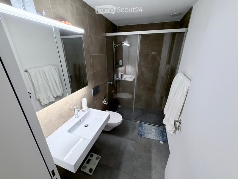 Modern bathroom with a white sink, toilet, glass-enclosed shower, and large mirror. Towels are neatly hung on both sides of the mirror, and a small rug is placed in front of the shower.
