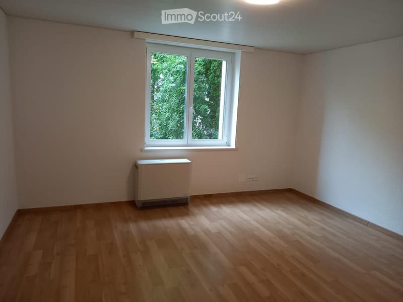 Empty room with wooden flooring, white walls, a window with white frame, and a radiator below the window.
