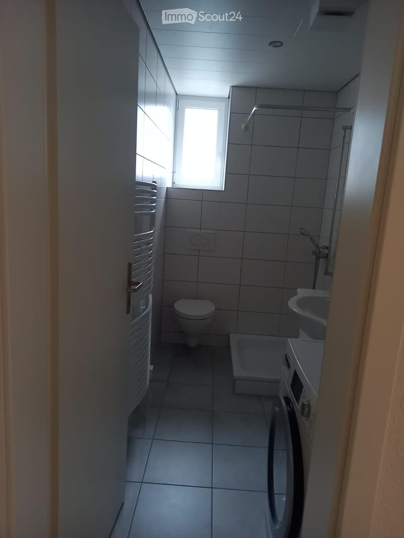 Modern bathroom with tiled walls and floor, featuring a toilet, sink, bathtub, shower, and radiator. Natural light from a window illuminates the space.