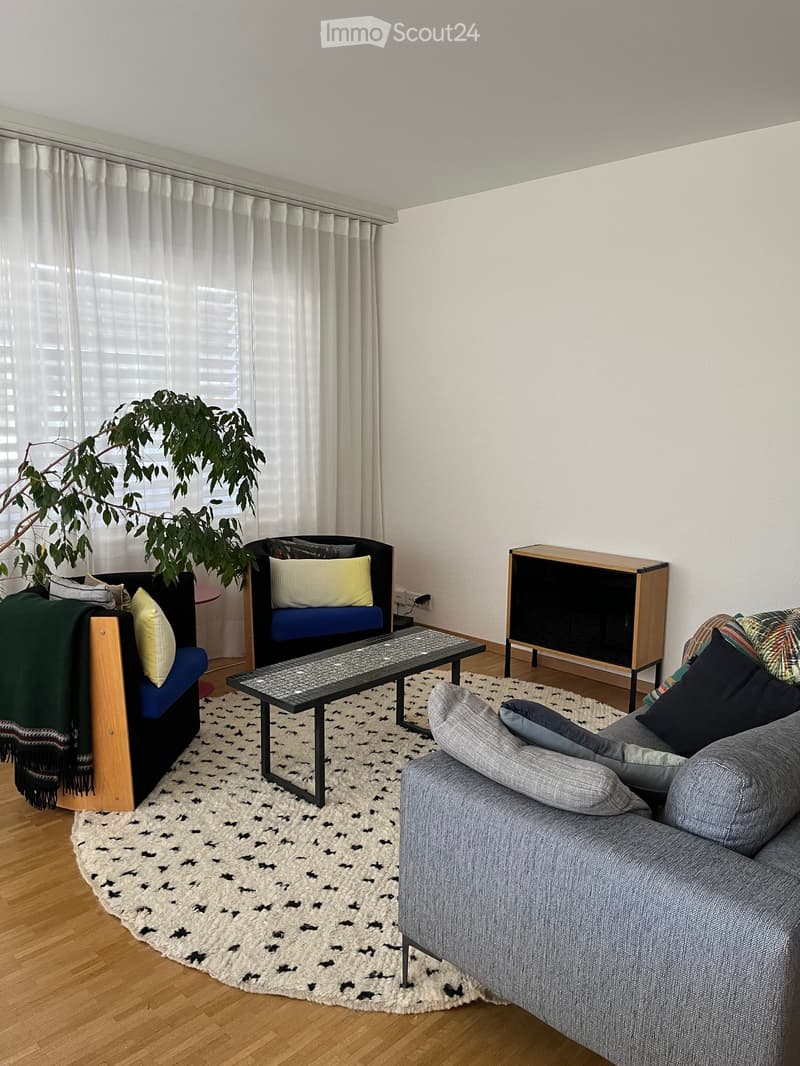 Modern living room with a grey sectional sofa, coffee table, wooden shelf, and a large plant near the window.