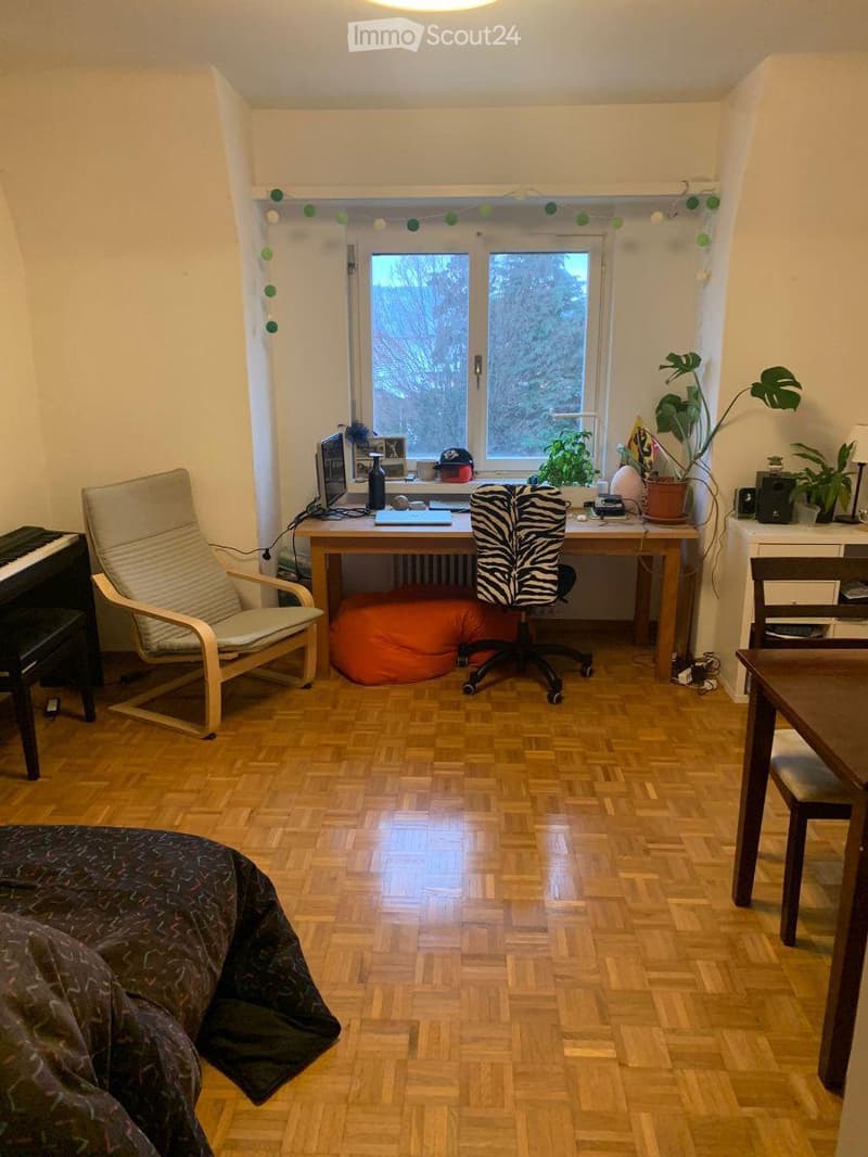 A multi-functional room with a wooden floor, a piano, a desk with a computer, a beanie bag, and several chairs. There are also plants and a window with a view of trees.