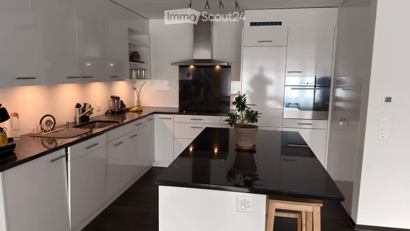 Modern kitchen with white cabinets, black countertop, stainless steel appliances, and a central island with a potted plant.