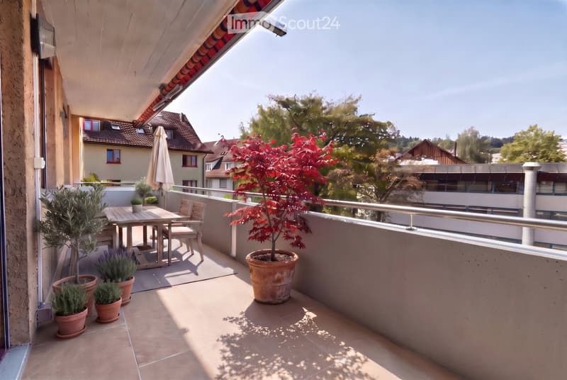 Balcony with a table, chairs, umbrella, and several potted plants, overlooking a residential area with trees and houses.