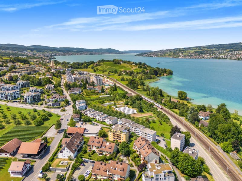 Aerial view of a town with residential houses, apartment buildings, green spaces, and a large lake in the background.