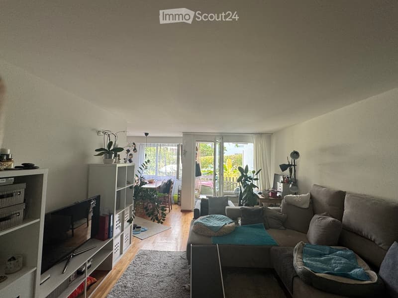 A modern living room with a grey sectional sofa, coffee table, TV on a shelf, and a dining area visible through an open doorway.