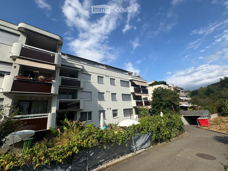 offene 3.5 Zimmer Gartenwohnung in Binningen (1)