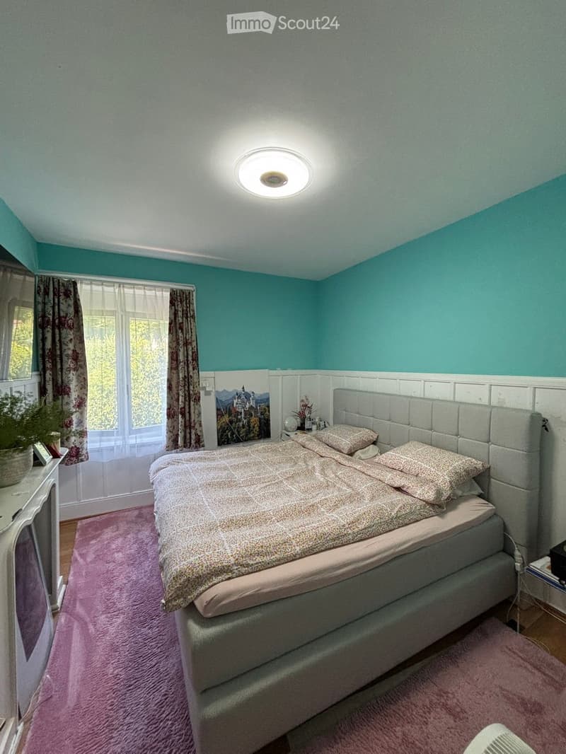 Cozy bedroom with a large bed, nightstand, potted plant, and decorative picture on the wall. The room features teal walls, a purple shag rug, and a large window with curtains.