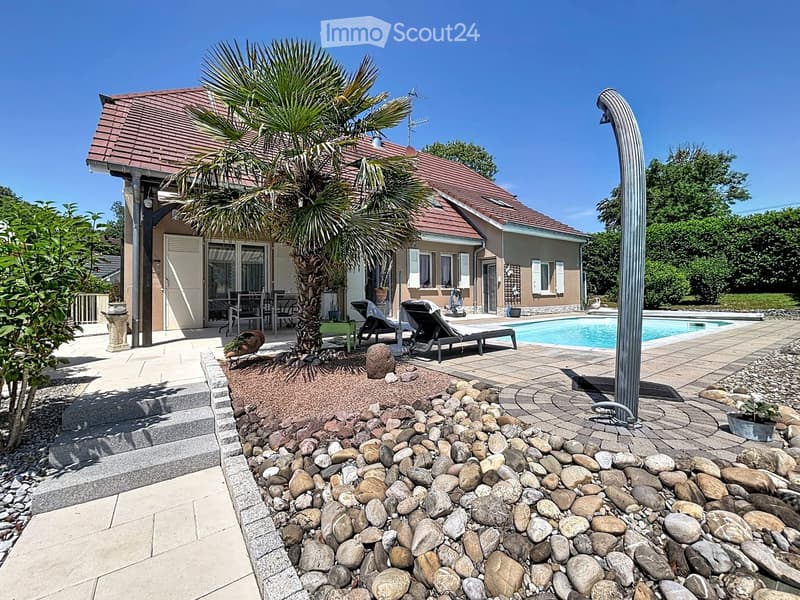 Garden area with a swimming pool, lounge chairs, a palm tree, and decorative rocks.
