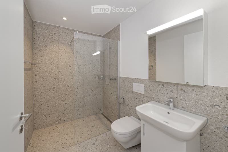 Modern bathroom with a white sink, toilet, and a large mirror with built-in lighting. The shower area features a glass enclosure and tiled walls.