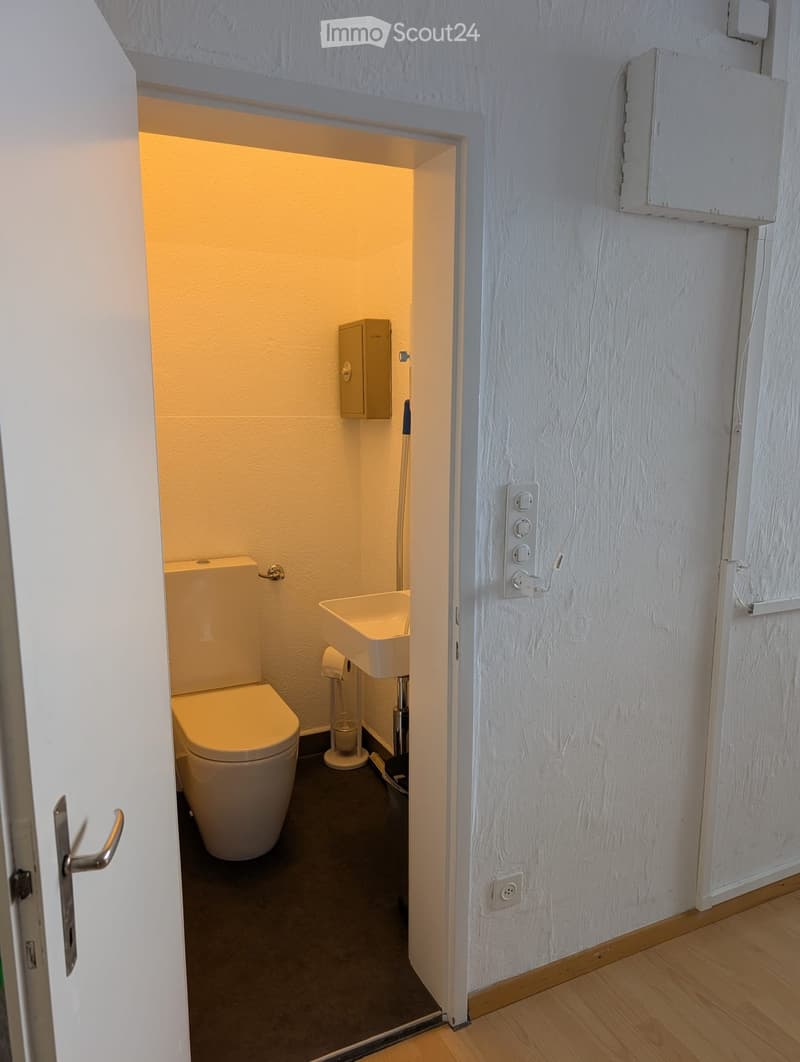 Compact bathroom with a toilet, sink, and toilet paper holder. The walls are white, and the floor is dark.