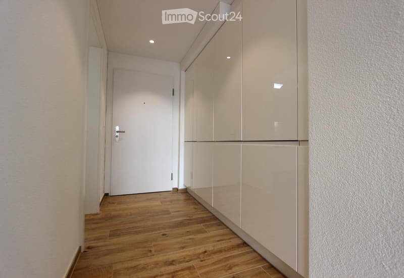 Modern hallway with wooden flooring, white walls, built-in storage units, and recessed lighting.