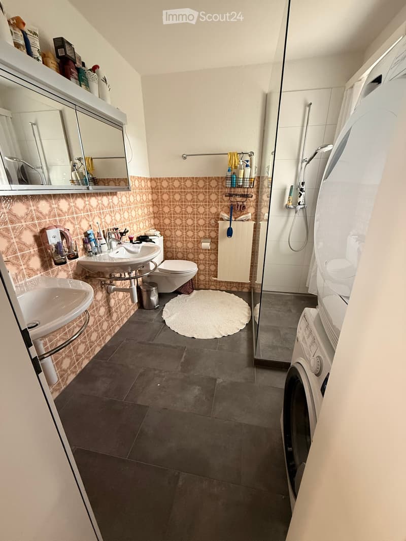 Bathroom with two sinks, toilet, mirror, shower, washing machine, and various bathroom accessories.