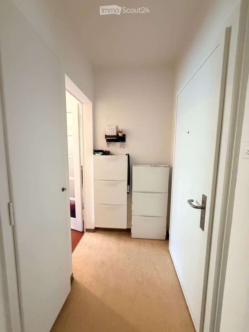 Empty hallway with beige carpet, white walls, and doors on both sides. A small shelf with a plant and hooks is visible on one wall, and a white refrigerator is partially seen in an adjacent room.