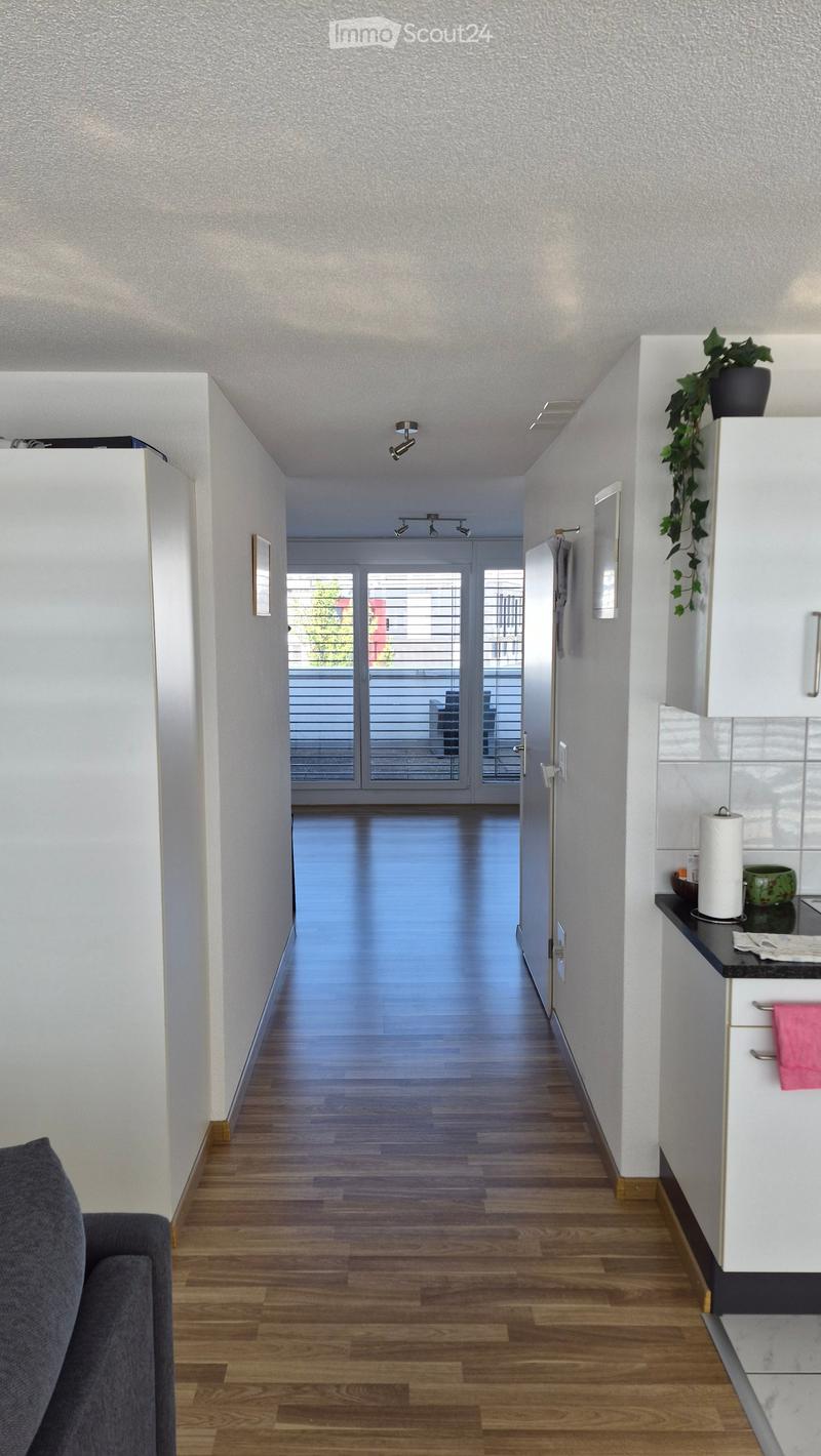 A modern hallway with wooden flooring, white walls, recessed lighting, and a view of a balcony through large glass doors.