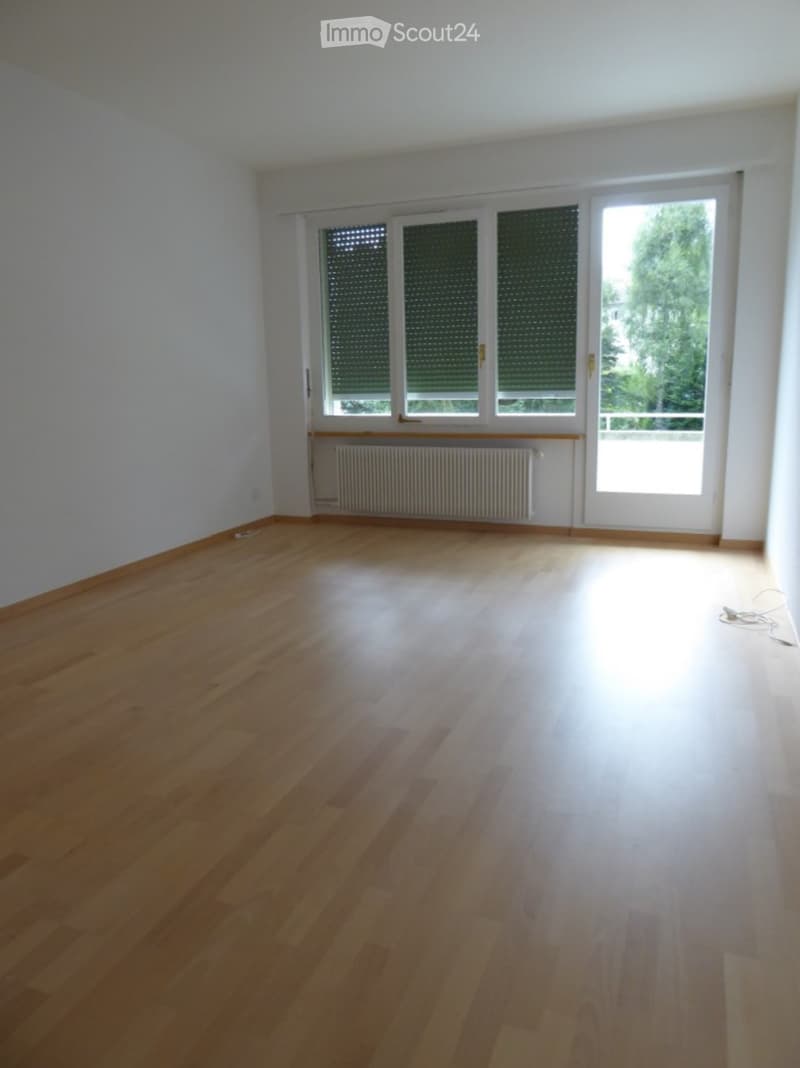 Empty room with wooden flooring, white walls, large windows with blinds, and a radiator under the windows.
