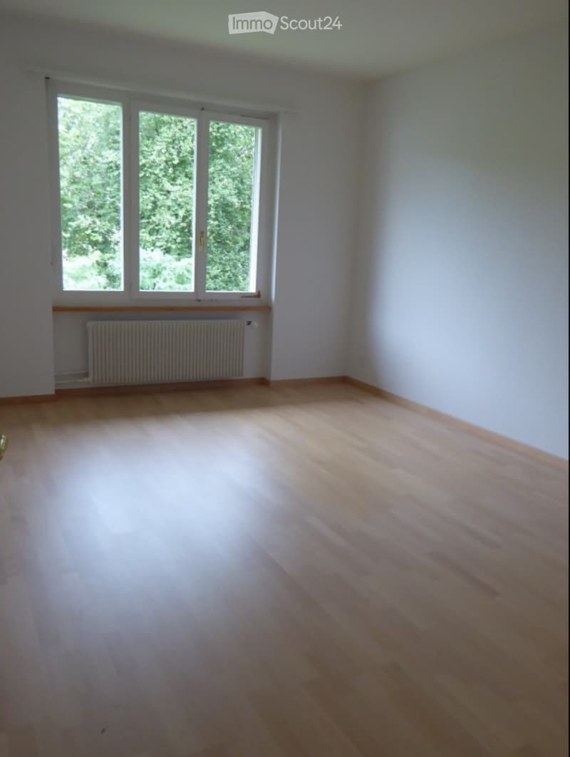 Empty room with light wooden flooring, white walls, and large windows with a radiator below them.