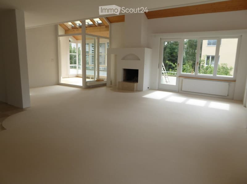 Empty room with carpeted floor, large windows, fireplace, and skylight. No furniture or equipment.