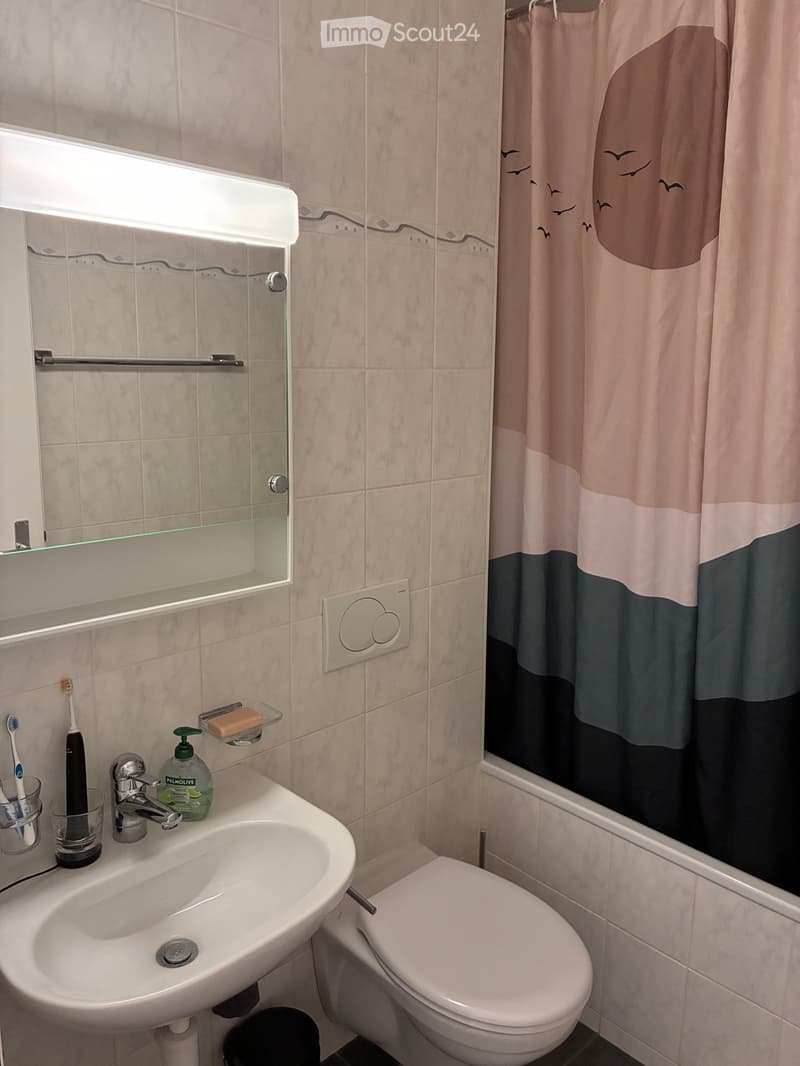 Bathroom with a sink, faucet, toilet, toothbrush holders, soap dispenser, mirror, and a shower curtain with a bird design.