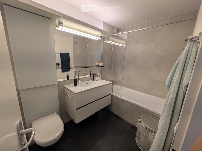 Modern bathroom with a white sink, chrome faucet, toilet, bathtub with glass enclosure, and a large mirror above the sink. A towel hangs on the right side, and a small plant sits on the shelf above the sink.